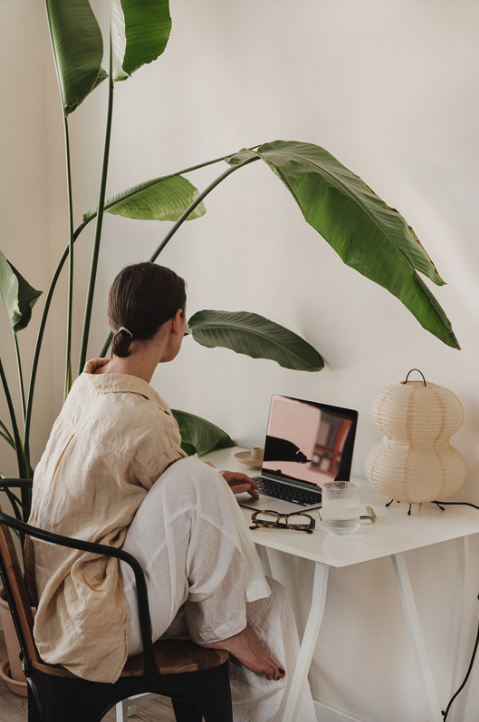A woman working on a laptop in a bright, plant-filled room